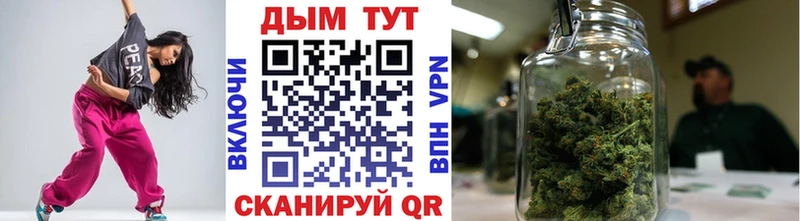 Бошки Шишки сатива  Купить закладки  Нолинск 